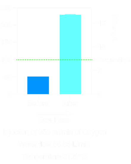 One pass Oxygen 950ml from 4 mg edited
